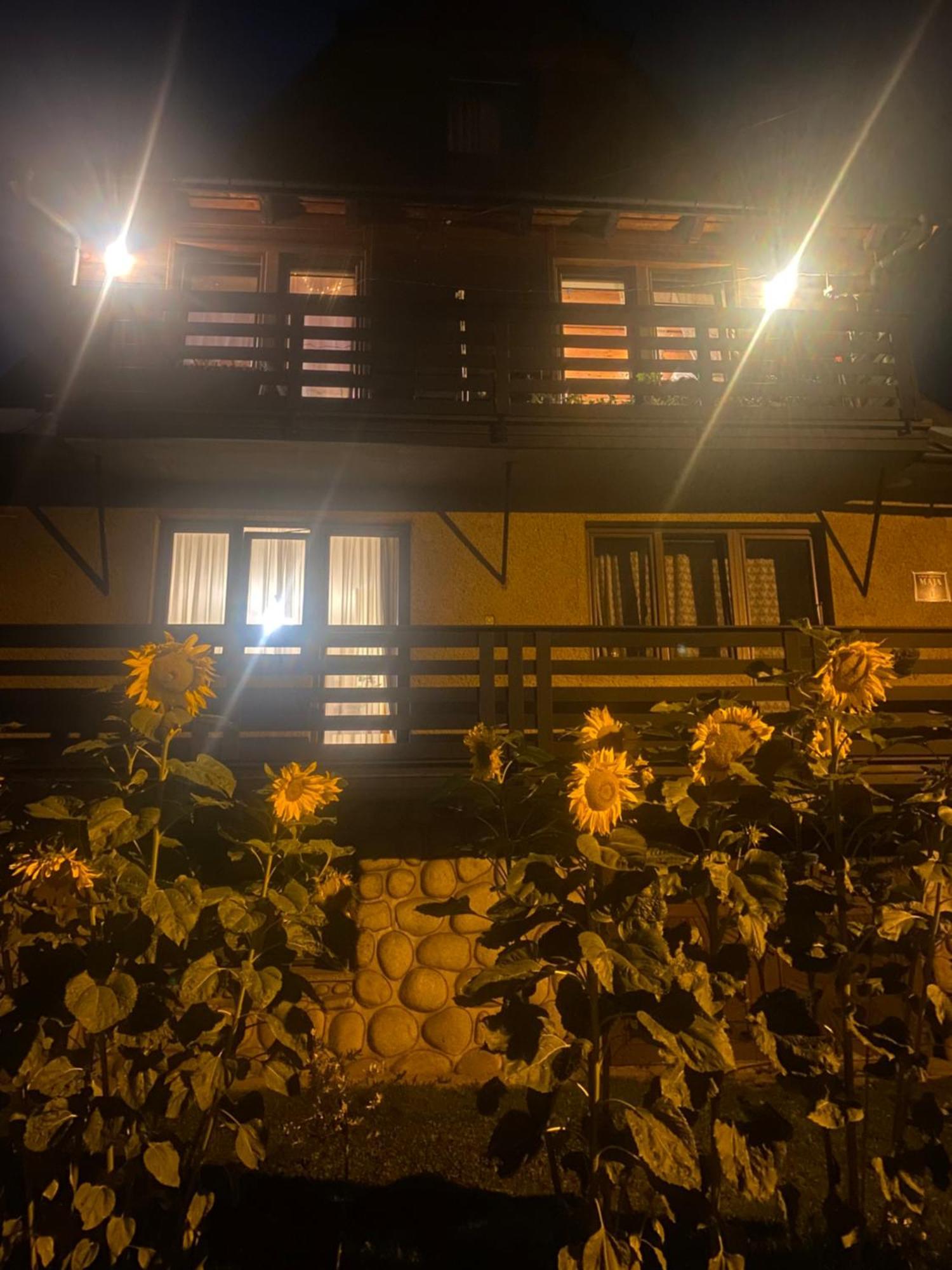 Pokoje Goscinne Maja Bialka Tatrzanska 外观 照片